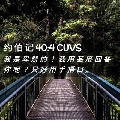 Picture 02 - 约 伯 记 40:4 CUVS - 我 是 卑 贱 的 ！ 我 用 甚 麽 回 答 - Bible Verse Picture