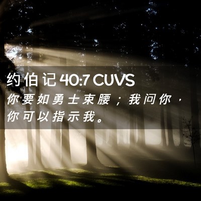 Picture 02 - 约 伯 记 40:7 CUVS - 你 要 如 勇 士 束 腰 ； 我 问 你 ， - Bible Verse Picture