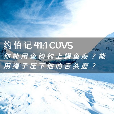 Picture 02 - 约 伯 记 41:1 CUVS - 你 能 用 鱼 钩 钓 上 鳄 鱼 麽 ？ 能 - Bible Verse Picture