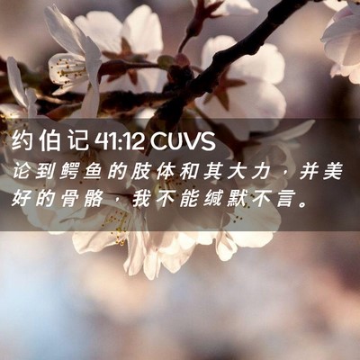 Picture 02 - 约 伯 记 41:12 CUVS - 论 到 鳄 鱼 的 肢 体 和 其 大 力 ， - Bible Verse Picture