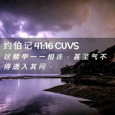 Picture 02 - 约 伯 记 41:16 CUVS - 这 鳞 甲 一 一 相 连 ， 甚 至 气 不 - Bible Verse Picture