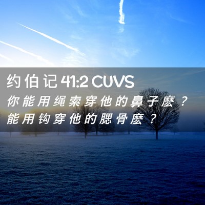 Picture 02 - 约 伯 记 41:2 CUVS - 你 能 用 绳 索 穿 他 的 鼻 子 麽 ？ - Bible Verse Picture