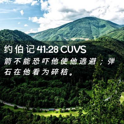 Picture 02 - 约 伯 记 41:28 CUVS - 箭 不 能 恐 吓 他 使 他 逃 避 ； 弹 - Bible Verse Picture