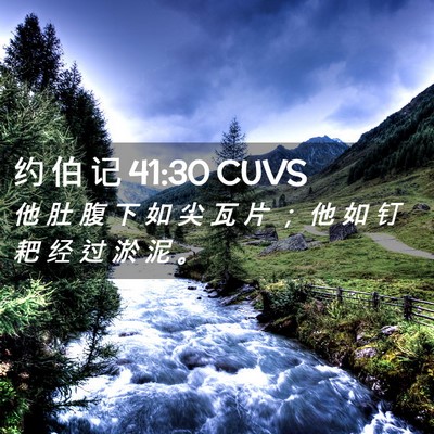 Picture 02 - 约 伯 记 41:30 CUVS - 他 肚 腹 下 如 尖 瓦 片 ； 他 如 钉 - Bible Verse Picture
