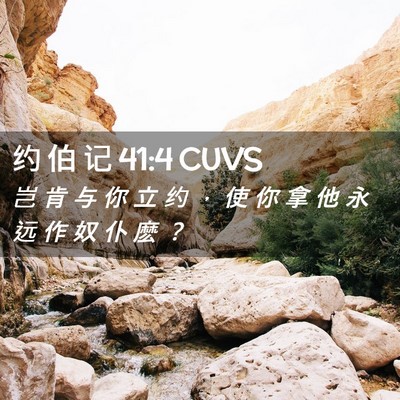 Picture 02 - 约 伯 记 41:4 CUVS - 岂 肯 与 你 立 约 ， 使 你 拿 他 永 - Bible Verse Picture