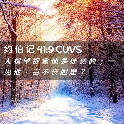 Picture 02 - 约 伯 记 41:9 CUVS - 人 指 望 捉 拿 他 是 徒 然 的 ； 一 - Bible Verse Picture