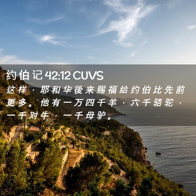 Picture 02 - 约 伯 记 42:12 CUVS - 这 样 ， 耶 和 华 後 来 赐 福 给 约 - Bible Verse Picture