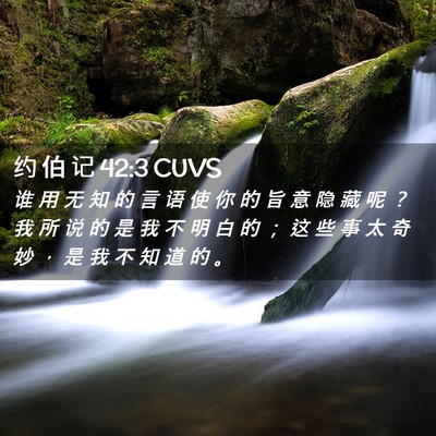 Picture 02 - 约 伯 记 42:3 CUVS - 谁 用 无 知 的 言 语 使 你 的 旨 意 - Bible Verse Picture