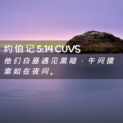 Picture 02 - 约 伯 记 5:14 CUVS - 他 们 白 昼 遇 见 黑 暗 ， 午 间 摸 - Bible Verse Picture