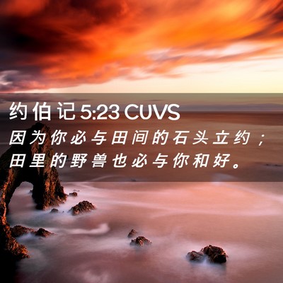 Picture 02 - 约 伯 记 5:23 CUVS - 因 为 你 必 与 田 间 的 石 头 立 约 - Bible Verse Picture