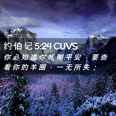 Picture 02 - 约 伯 记 5:24 CUVS - 你 必 知 道 你 帐 棚 平 安 ， 要 查 - Bible Verse Picture