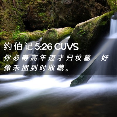 Picture 02 - 约 伯 记 5:26 CUVS - 你 必 寿 高 年 迈 才 归 坟 墓 ， 好 - Bible Verse Picture
