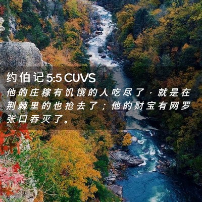 Picture 02 - 约 伯 记 5:5 CUVS - 他 的 庄 稼 有 饥 饿 的 人 吃 尽 了 - Bible Verse Picture