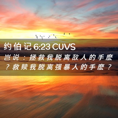 Picture 02 - 约 伯 记 6:23 CUVS - 岂 说 ： 拯 救 我 脱 离 敌 人 的 手 - Bible Verse Picture