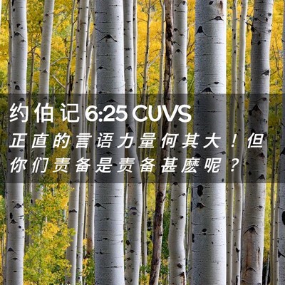 Picture 02 - 约 伯 记 6:25 CUVS - 正 直 的 言 语 力 量 何 其 大 ！ 但 - Bible Verse Picture
