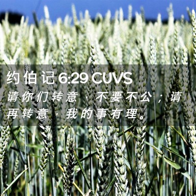 Picture 02 - 约 伯 记 6:29 CUVS - 请 你 们 转 意 ， 不 要 不 公 ； 请 - Bible Verse Picture