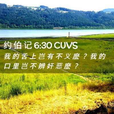 Picture 02 - 约 伯 记 6:30 CUVS - 我 的 舌 上 岂 有 不 义 麽 ？ 我 的 - Bible Verse Picture
