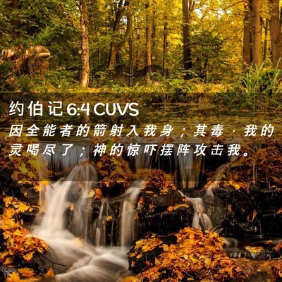 Picture 02 - 约 伯 记 6:4 CUVS - 因 全 能 者 的 箭 射 入 我 身 ； 其 - Bible Verse Picture