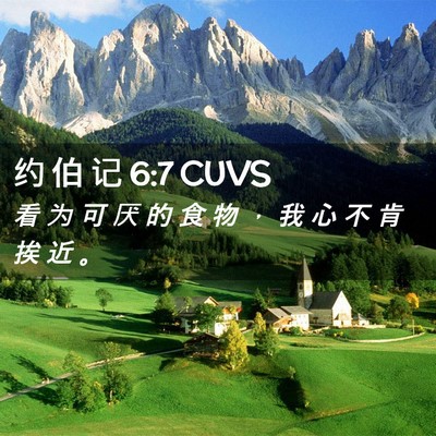 Picture 02 - 约 伯 记 6:7 CUVS - 看 为 可 厌 的 食 物 ， 我 心 不 肯 - Bible Verse Picture