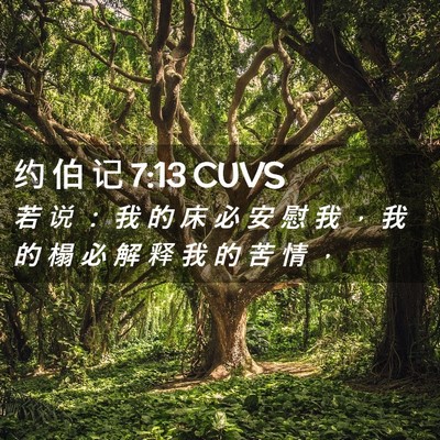 Picture 02 - 约 伯 记 7:13 CUVS - 若 说 ： 我 的 床 必 安 慰 我 ， 我 - Bible Verse Picture