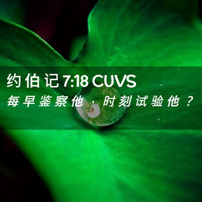 Picture 02 - 约 伯 记 7:18 CUVS - 每 早 鉴 察 他 ， 时 刻 试 验 他 - Bible Verse Picture