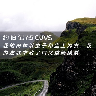Picture 02 - 约 伯 记 7:5 CUVS - 我 的 肉 体 以 虫 子 和 尘 土 为 衣 - Bible Verse Picture