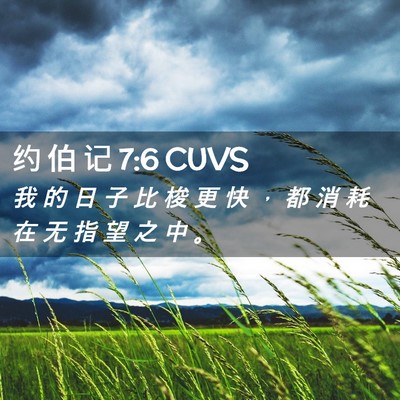 Picture 02 - 约 伯 记 7:6 CUVS - 我 的 日 子 比 梭 更 快 ， 都 消 耗 - Bible Verse Picture