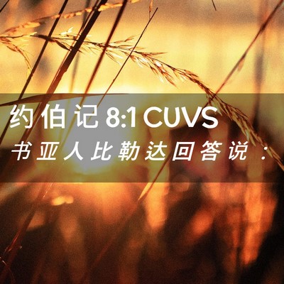 Picture 02 - 约 伯 记 8:1 CUVS - 书 亚 人 比 勒 达 回 答 说 - Bible Verse Picture
