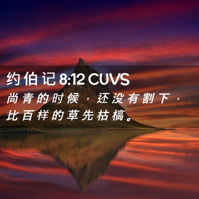 Picture 02 - 约 伯 记 8:12 CUVS - 尚 青 的 时 候 ， 还 没 有 割 下 ， - Bible Verse Picture