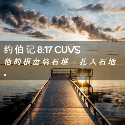 Picture 02 - 约 伯 记 8:17 CUVS - 他 的 根 盘 绕 石 堆 ， 扎 入 石 地 - Bible Verse Picture