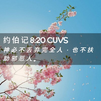 Picture 02 - 约 伯 记 8:20 CUVS - 神 必 不 丢 弃 完 全 人 ， 也 不 扶 - Bible Verse Picture