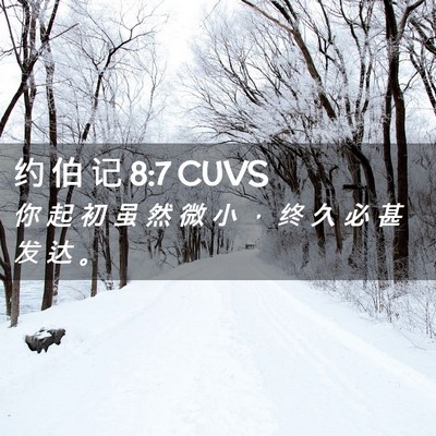 Picture 02 - 约 伯 记 8:7 CUVS - 你 起 初 虽 然 微 小 ， 终 久 必 甚 - Bible Verse Picture
