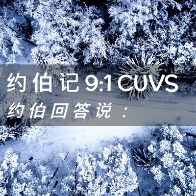 Picture 02 - 约 伯 记 9:1 CUVS - 约 伯 回 答 说 - Bible Verse Picture