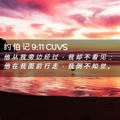 Picture 02 - 约 伯 记 9:11 CUVS - 他 从 我 旁 边 经 过 ， 我 却 不 看 - Bible Verse Picture