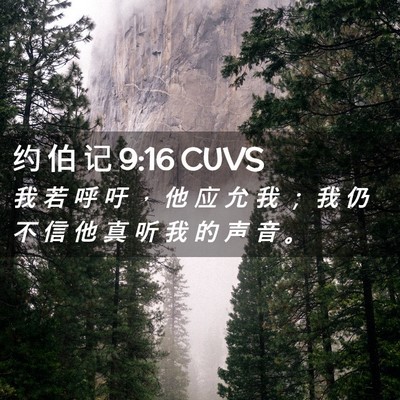 Picture 02 - 约 伯 记 9:16 CUVS - 我 若 呼 吁 ， 他 应 允 我 ； 我 仍 - Bible Verse Picture