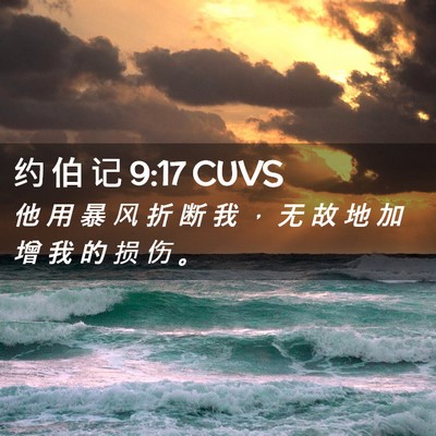 Picture 02 - 约 伯 记 9:17 CUVS - 他 用 暴 风 折 断 我 ， 无 故 地 加 - Bible Verse Picture