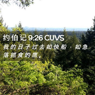 Picture 02 - 约 伯 记 9:26 CUVS - 我 的 日 子 过 去 如 快 船 ， 如 急 - Bible Verse Picture