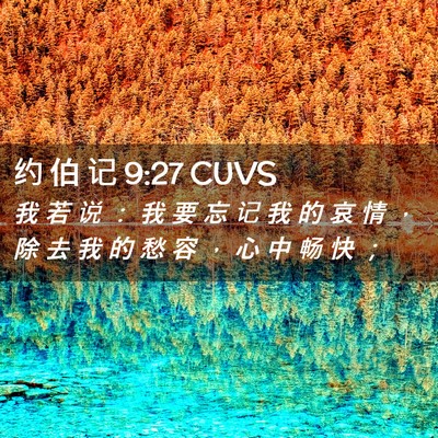 Picture 02 - 约 伯 记 9:27 CUVS - 我 若 说 ： 我 要 忘 记 我 的 哀 情 - Bible Verse Picture