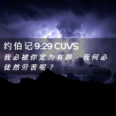 Picture 02 - 约 伯 记 9:29 CUVS - 我 必 被 你 定 为 有 罪 ， 我 何 必 - Bible Verse Picture