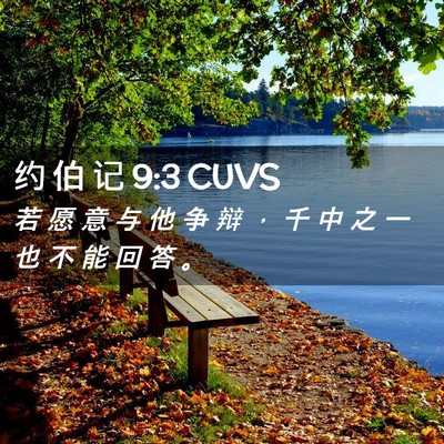 Picture 02 - 约 伯 记 9:3 CUVS - 若 愿 意 与 他 争 辩 ， 千 中 之 一 - Bible Verse Picture