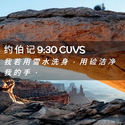 Picture 02 - 约 伯 记 9:30 CUVS - 我 若 用 雪 水 洗 身 ， 用 硷 洁 净 - Bible Verse Picture