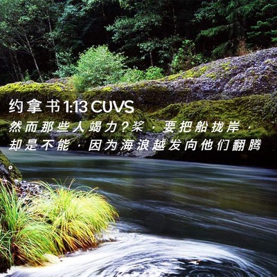 Picture 02 - 约 拿 书 1:13 CUVS - 然 而 那 些 人 竭 力 ? 桨 ， 要 把 船 - Bible Verse Picture