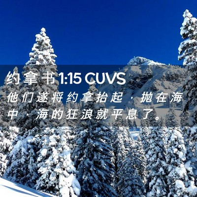 Picture 02 - 约 拿 书 1:15 CUVS - 他 们 遂 将 约 拿 抬 起 ， 抛 在 海 - Bible Verse Picture