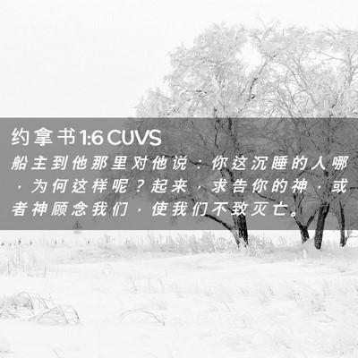 Picture 02 - 约 拿 书 1:6 CUVS - 船 主 到 他 那 里 对 他 说 ： 你 这 - Bible Verse Picture