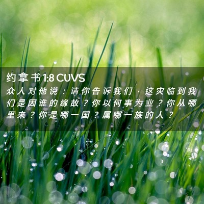 Picture 02 - 约 拿 书 1:8 CUVS - 众 人 对 他 说 ： 请 你 告 诉 我 们 - Bible Verse Picture