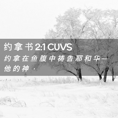 Picture 02 - 约 拿 书 2:1 CUVS - 约 拿 在 鱼 腹 中 祷 告 耶 和 华 ─ - Bible Verse Picture