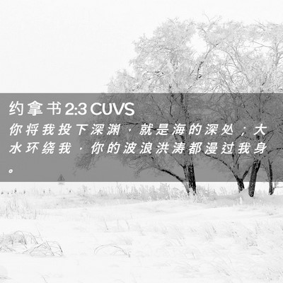 Picture 02 - 约 拿 书 2:3 CUVS - 你 将 我 投 下 深 渊 ， 就 是 海 的 - Bible Verse Picture
