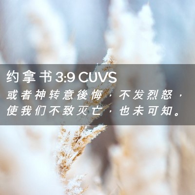 Picture 02 - 约 拿 书 3:9 CUVS - 或 者 神 转 意 後 悔 ， 不 发 烈 怒 - Bible Verse Picture