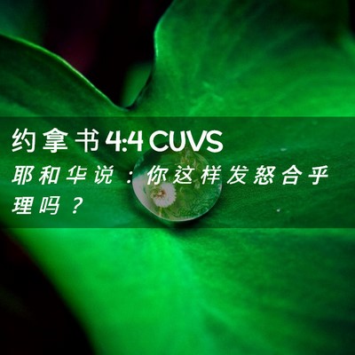 Picture 02 - 约 拿 书 4:4 CUVS - 耶 和 华 说 ： 你 这 样 发 怒 合 乎 - Bible Verse Picture