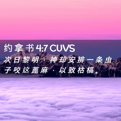 Picture 02 - 约 拿 书 4:7 CUVS - 次 日 黎 明 ， 神 却 安 排 一 条 虫 - Bible Verse Picture